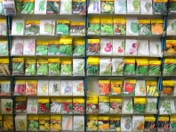 A great selection of organic, open pollinated, hybrid seeds