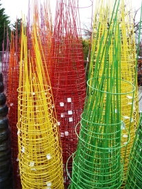 Tomato cages in a rainbow of colors to brighten your garden