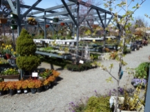 A view of the Nursery in early spring