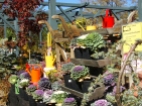 Fall plants and products on display