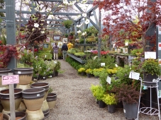Nursery in spring during the Weaverville Art Cruise